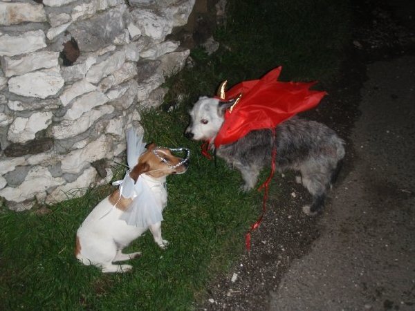 Nipper & Nog Ponder the Eternal Struggle Between Good & Evil. Photograph Aoife Molloy.